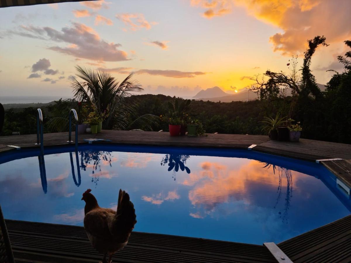 Chambre Chez L'Habitant Avec Piscine Privative Et Vue Panoramique Sur La Mer Des Caraibes Desmarinieres Екстер'єр фото